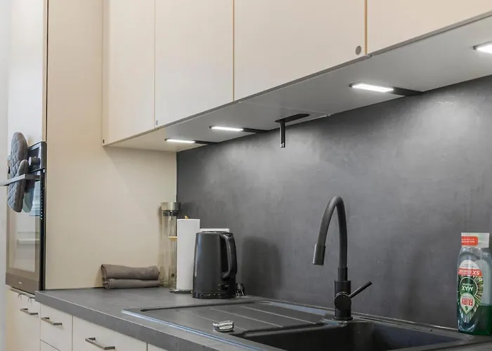 Lejlighed Lakeview 3 Rooms, Parking, Independent Bonn